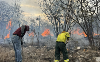 Se ha controlado en un 75% incendio en la Mixteca